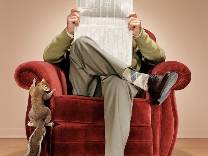 animal_pests_squirrel