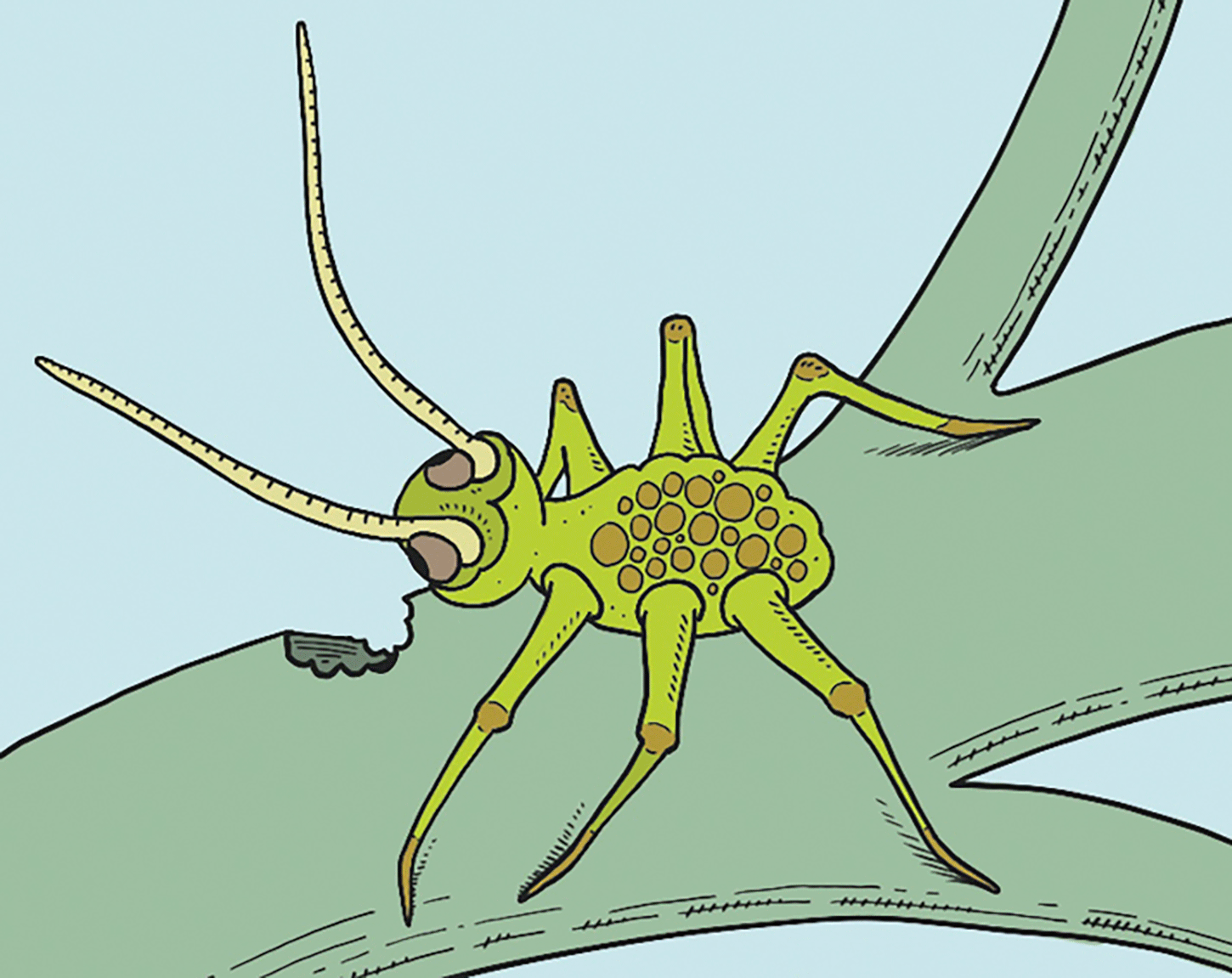 An illustration of an aphid eating a garden plant.