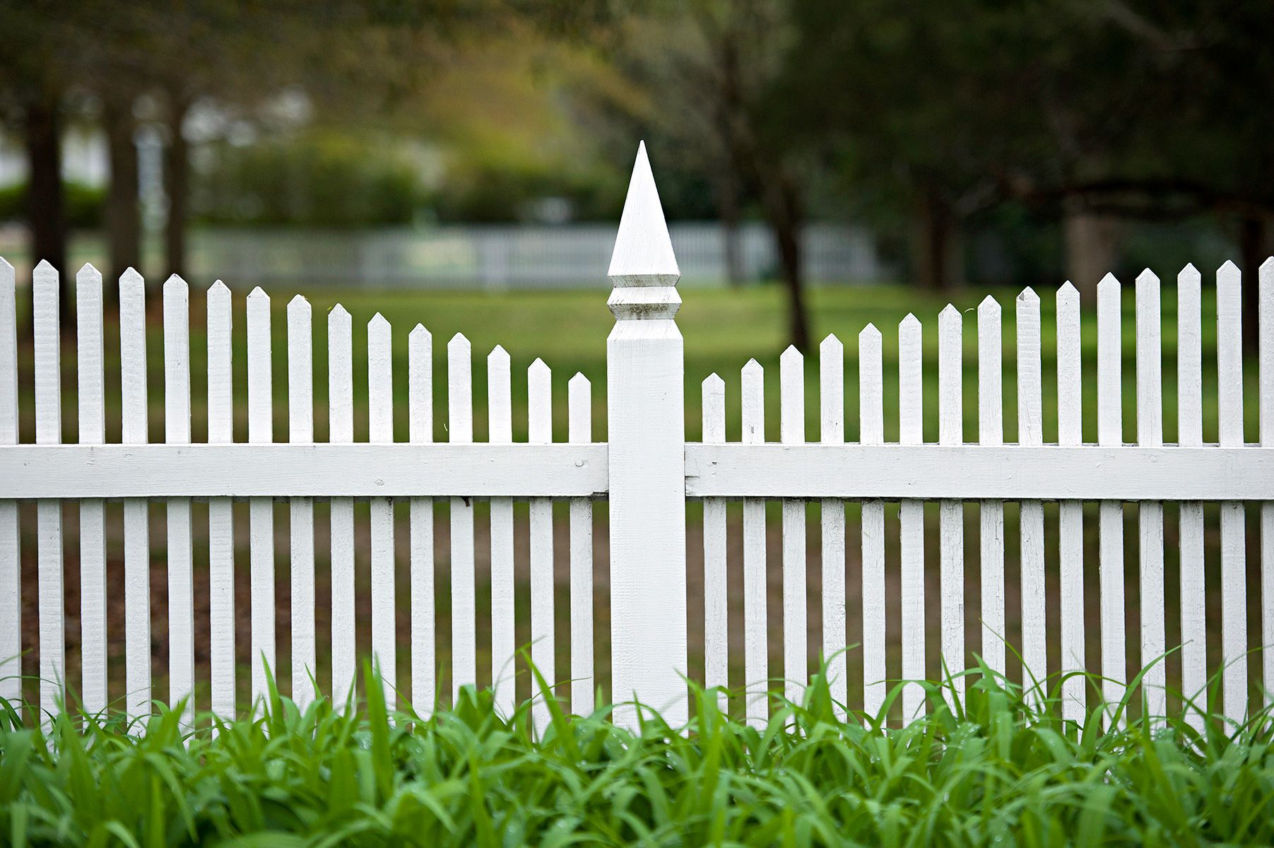 An arched picket fence with undulating lines between posts.