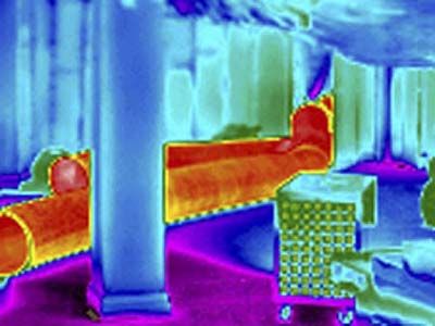 a thermal image used to detect bedbugs