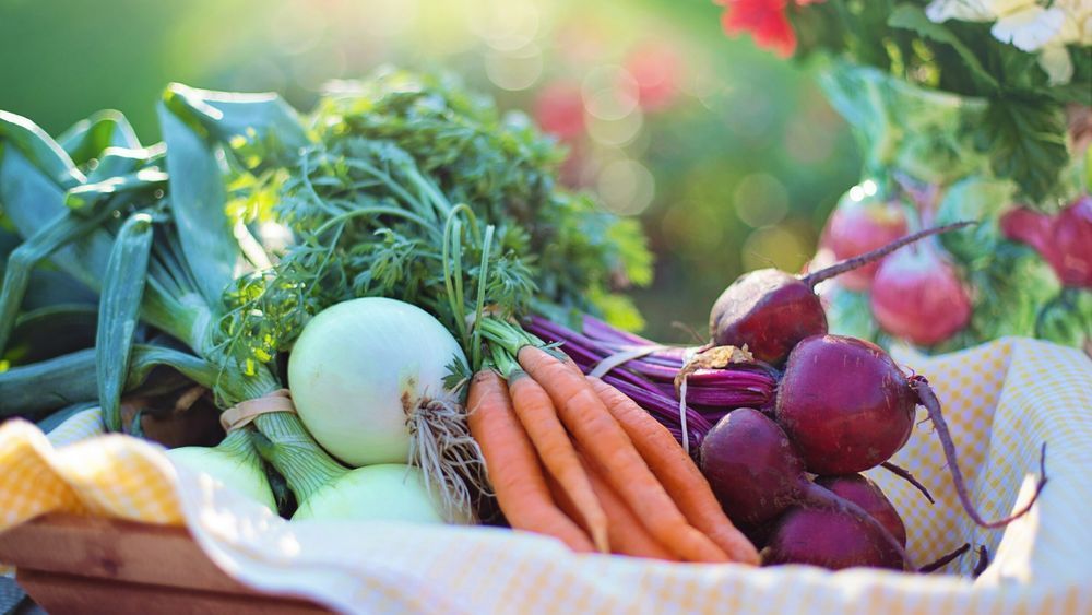 beets_carrots_close_up_533360