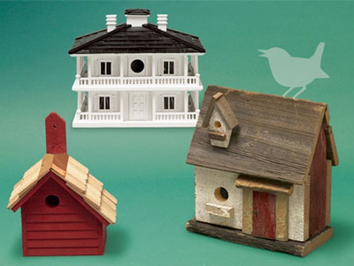 birdhouse_architecture_x