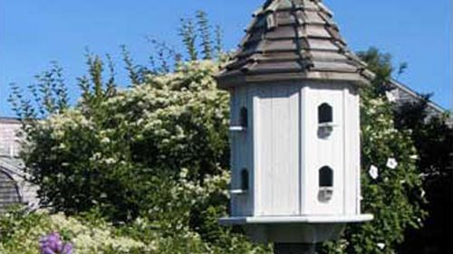 birdhouses_feeders_x