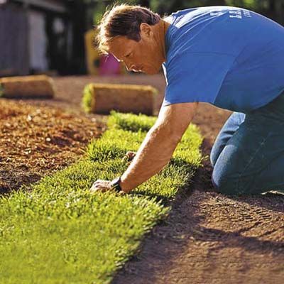 Your Toughest Lawn Questions Answered - This Old House