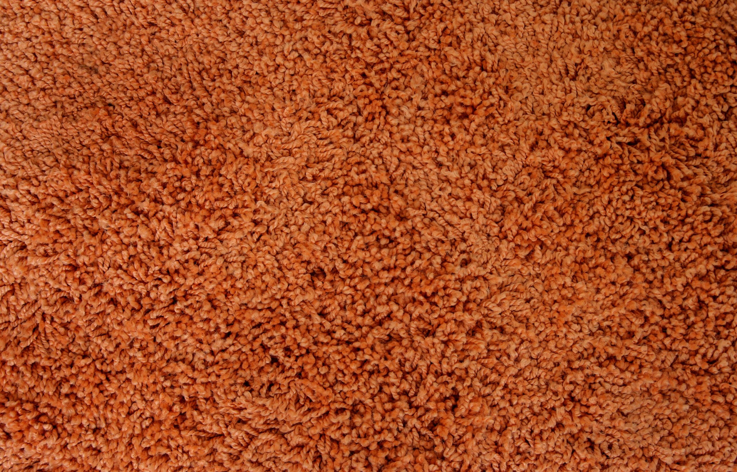 An image of carpet.