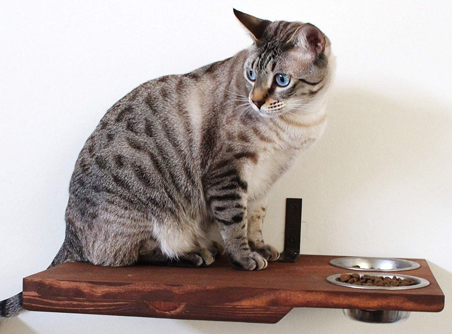 Wall-Mounted Cat Feeding/Feeder Shelf