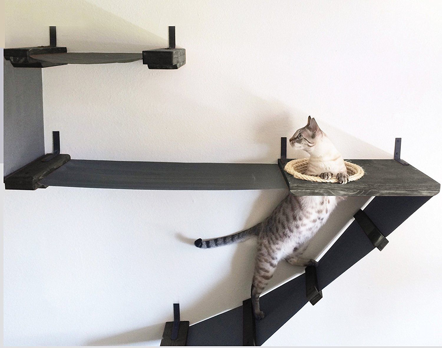 Wall-Mounted Cat Feeding/Feeder Shelf