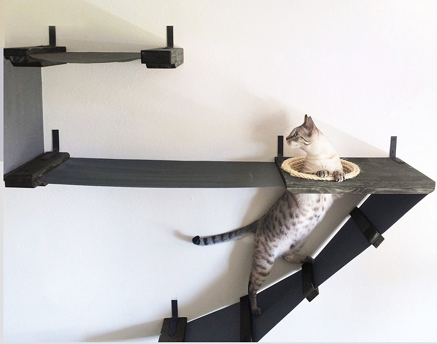 Cat Shelf and Activity Center Shopping Guide This Old House