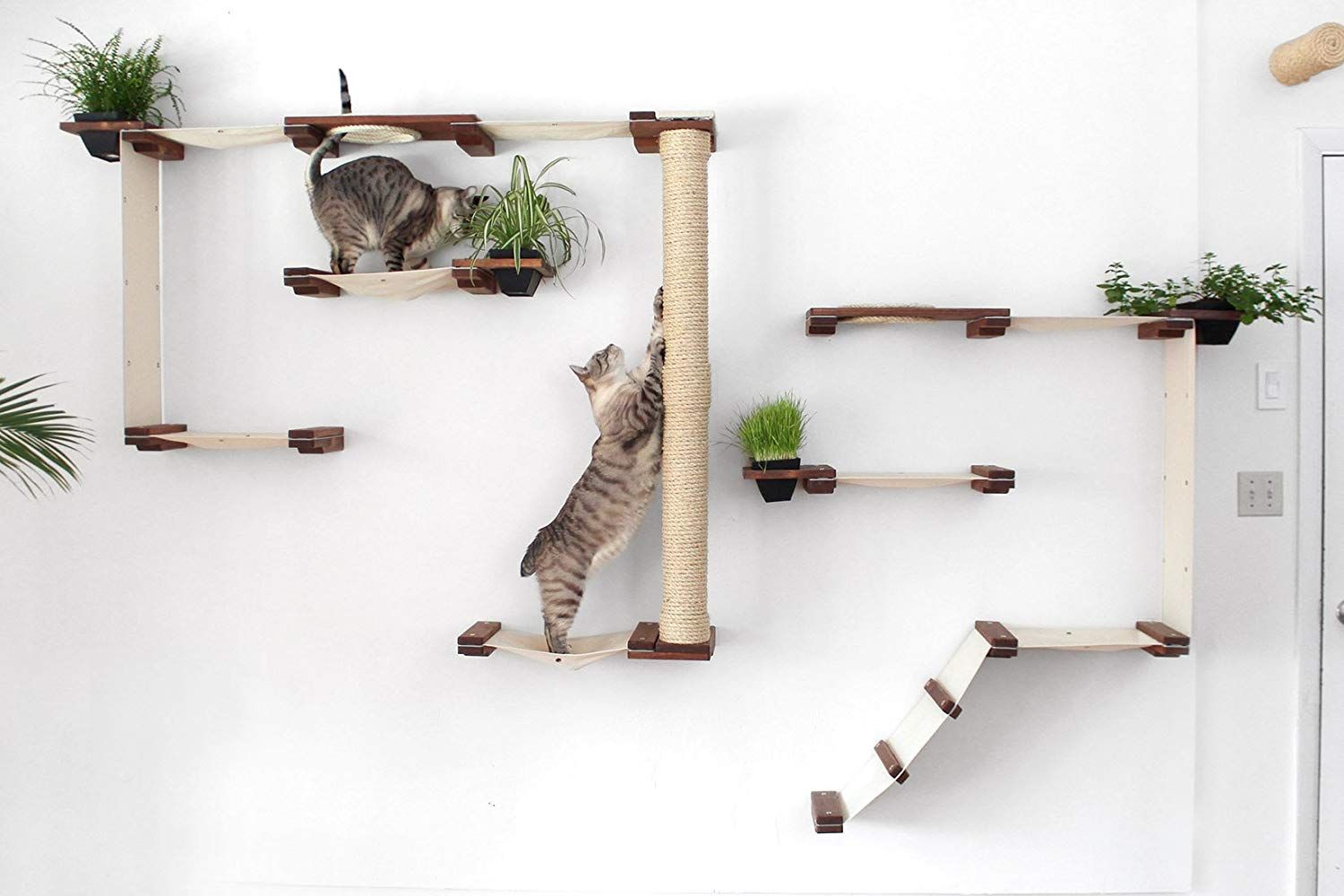 Wall-Mounted Cat Feeding/Feeder Shelf