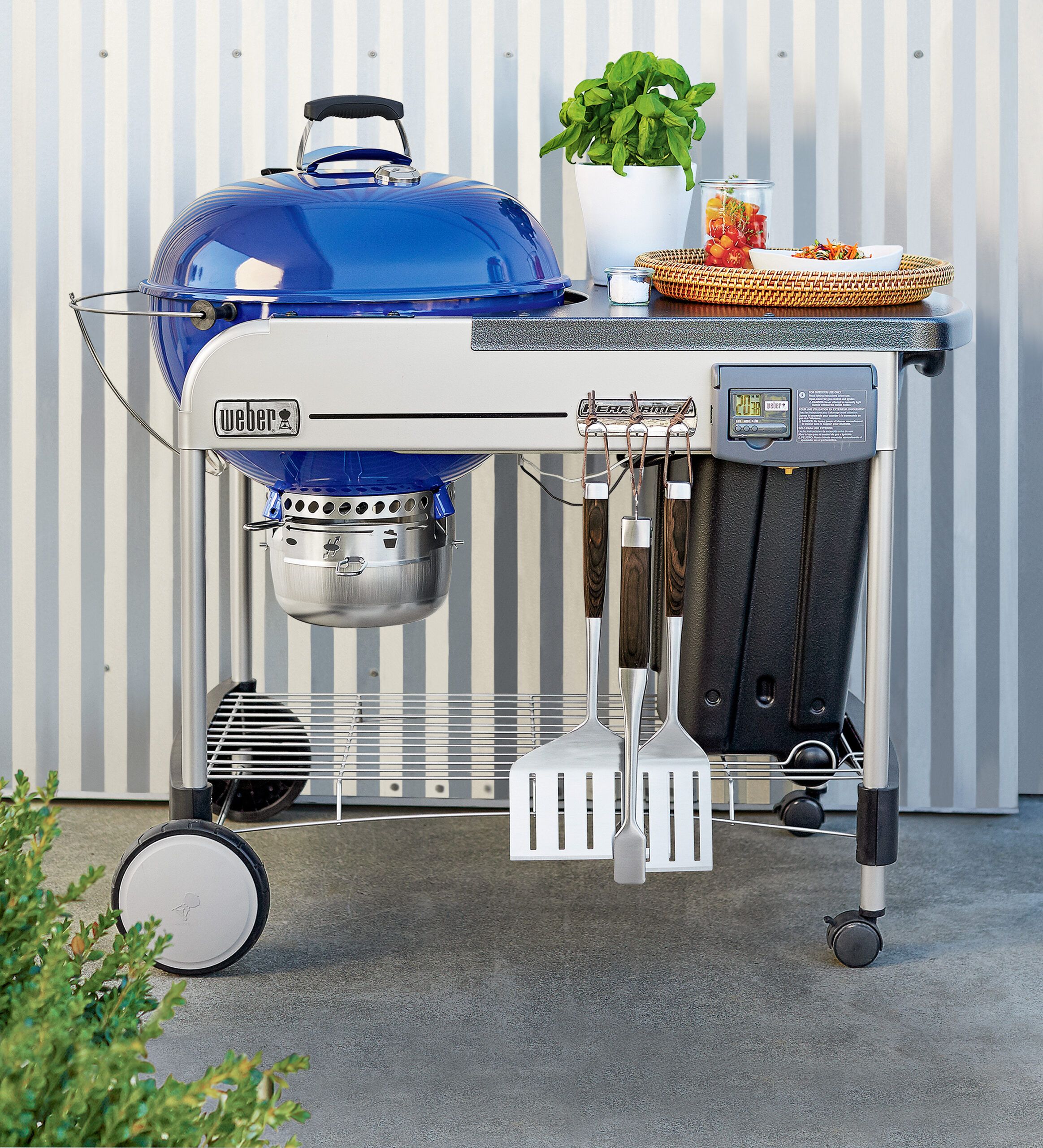 Weber Grills Buying Guide