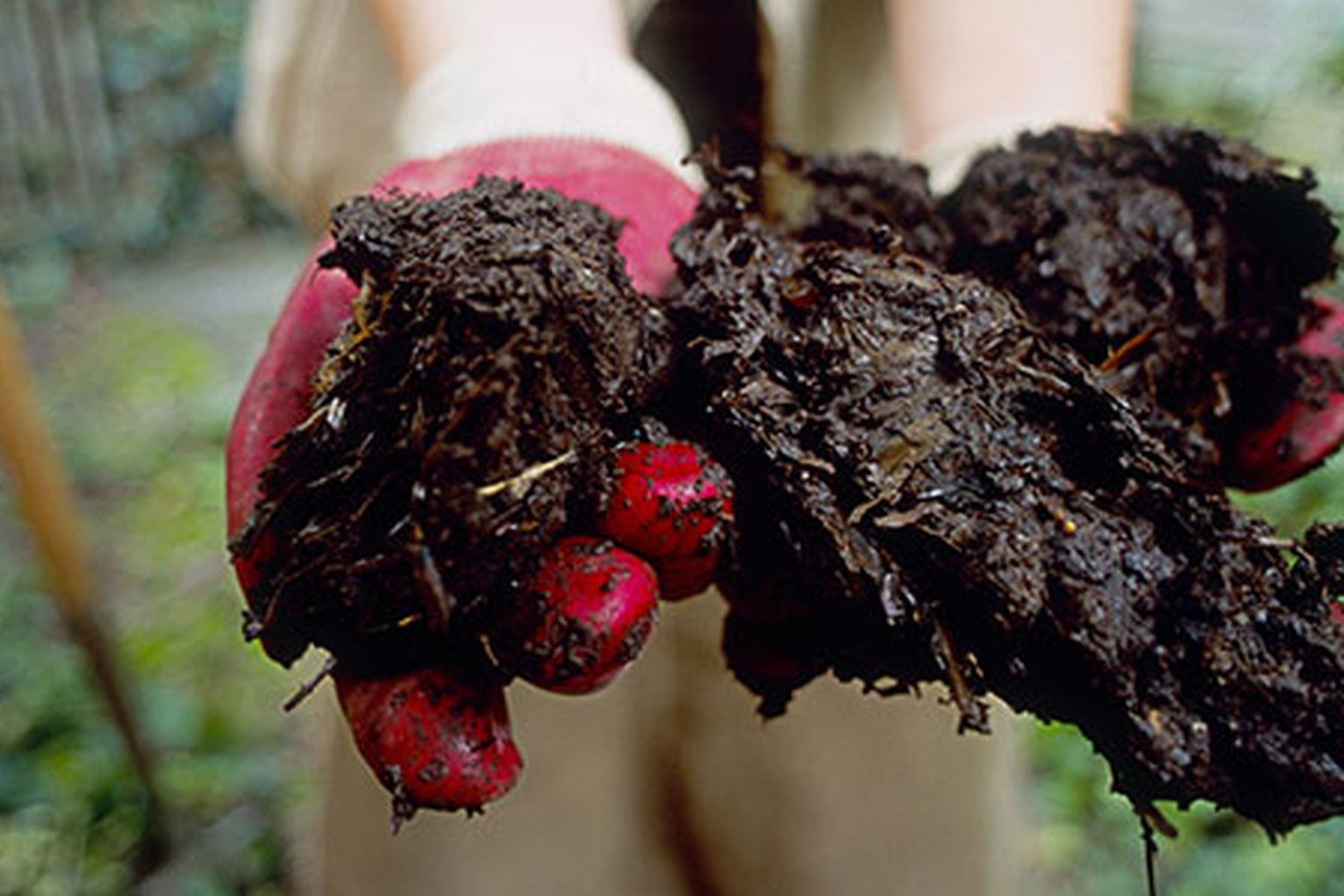 an up close view of what composting looks like