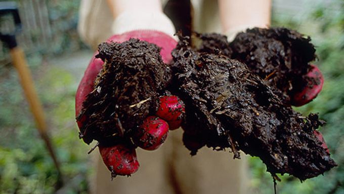 an up close view of what composting looks like