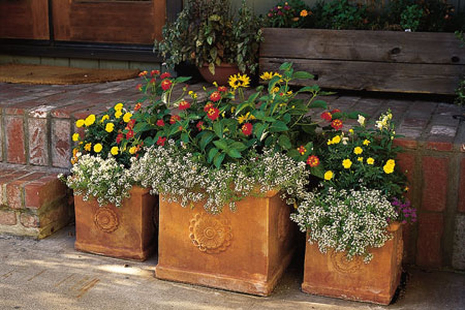 A creative container garden.