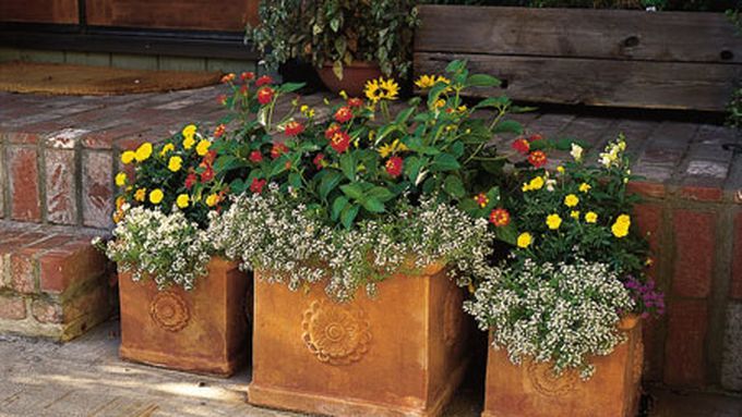 A creative container garden.