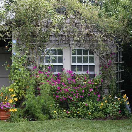 a cottage garden