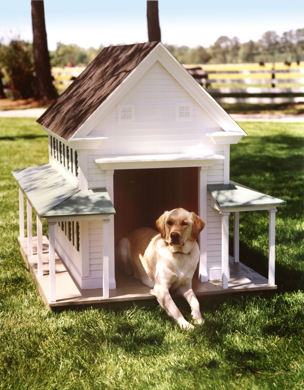 Dog house 2024 in house