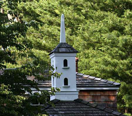 A cupola on a building beside some trees.