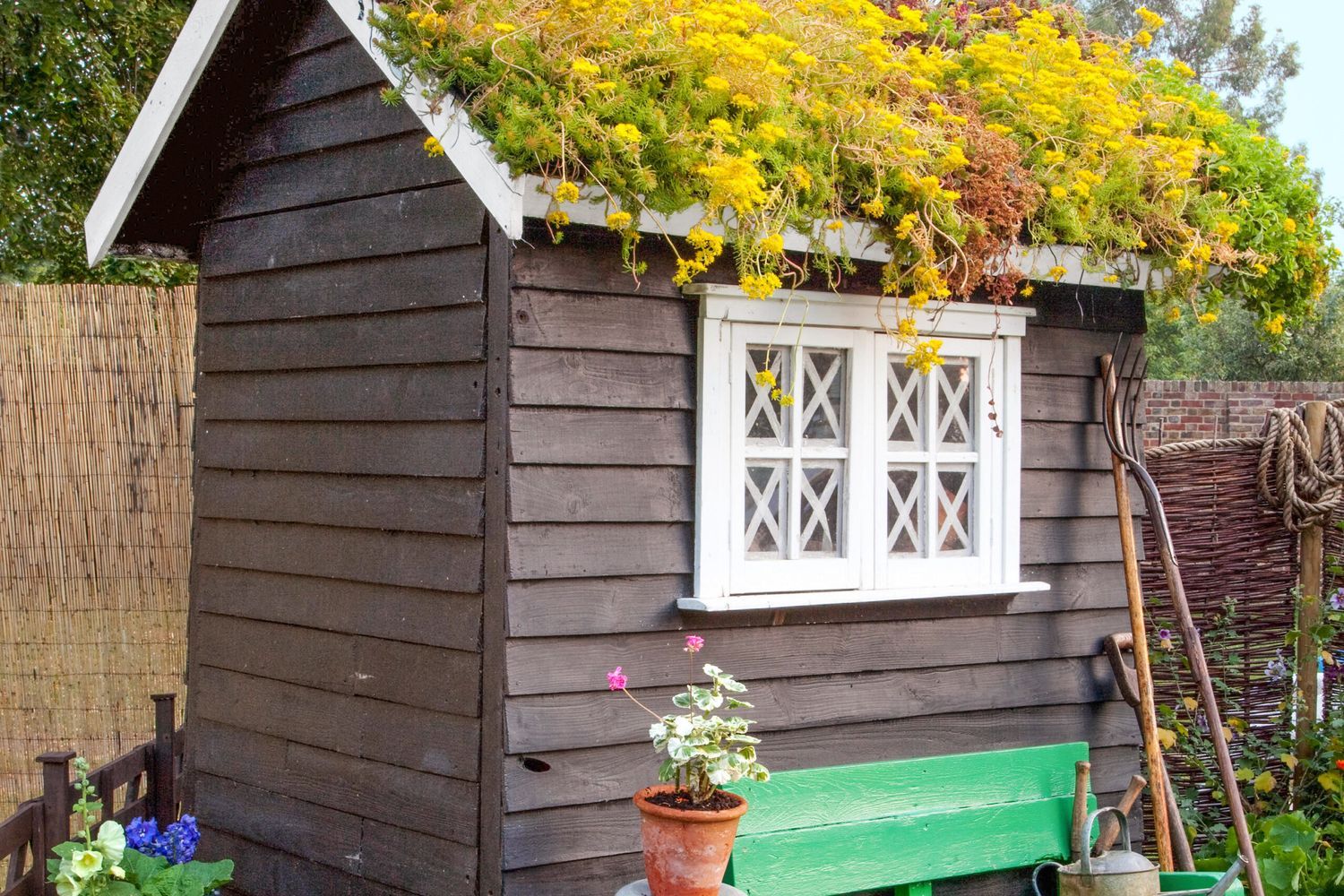 A custom green roof.