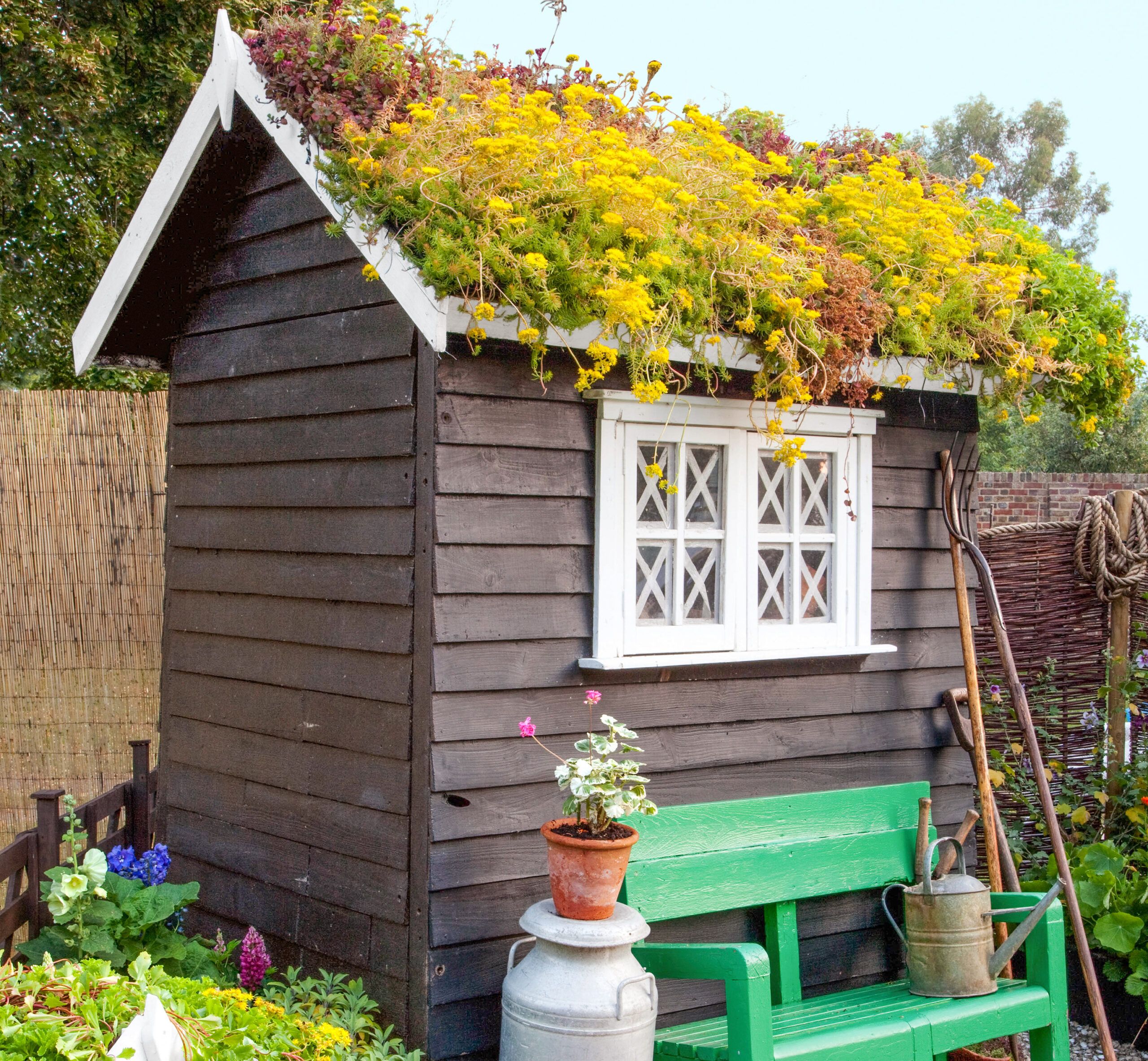 A custom green roof.