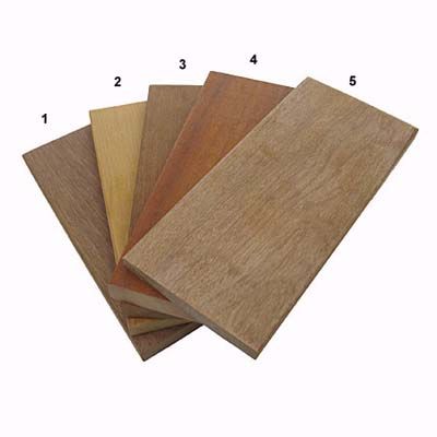 Images of five kinds of Tropical hardwoods