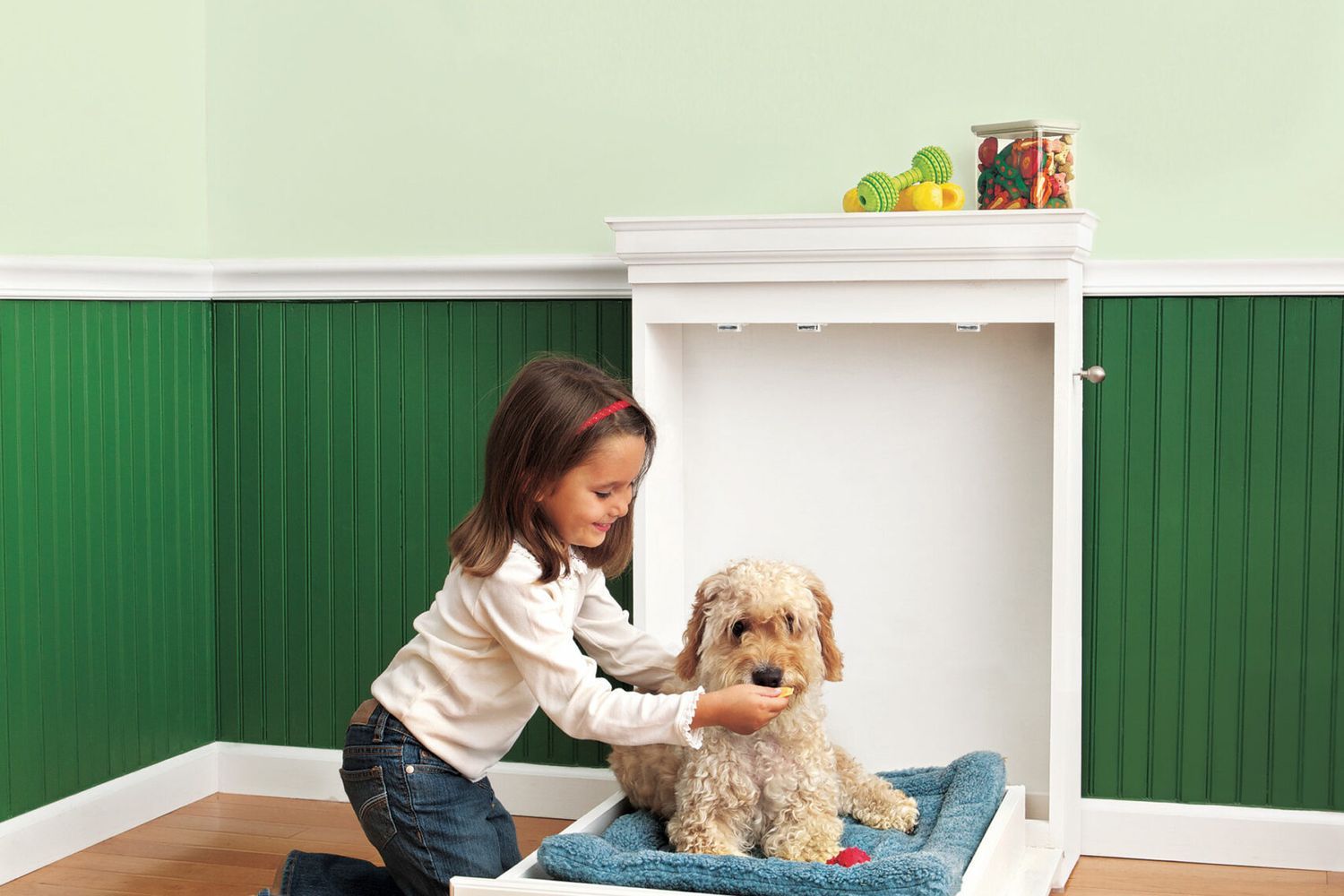 dog murphy bed