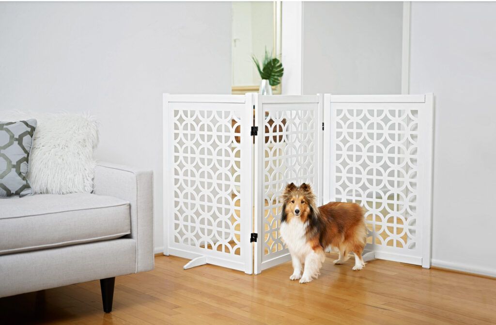 Stylish Gates to Safeguard Your Dog - This Old House