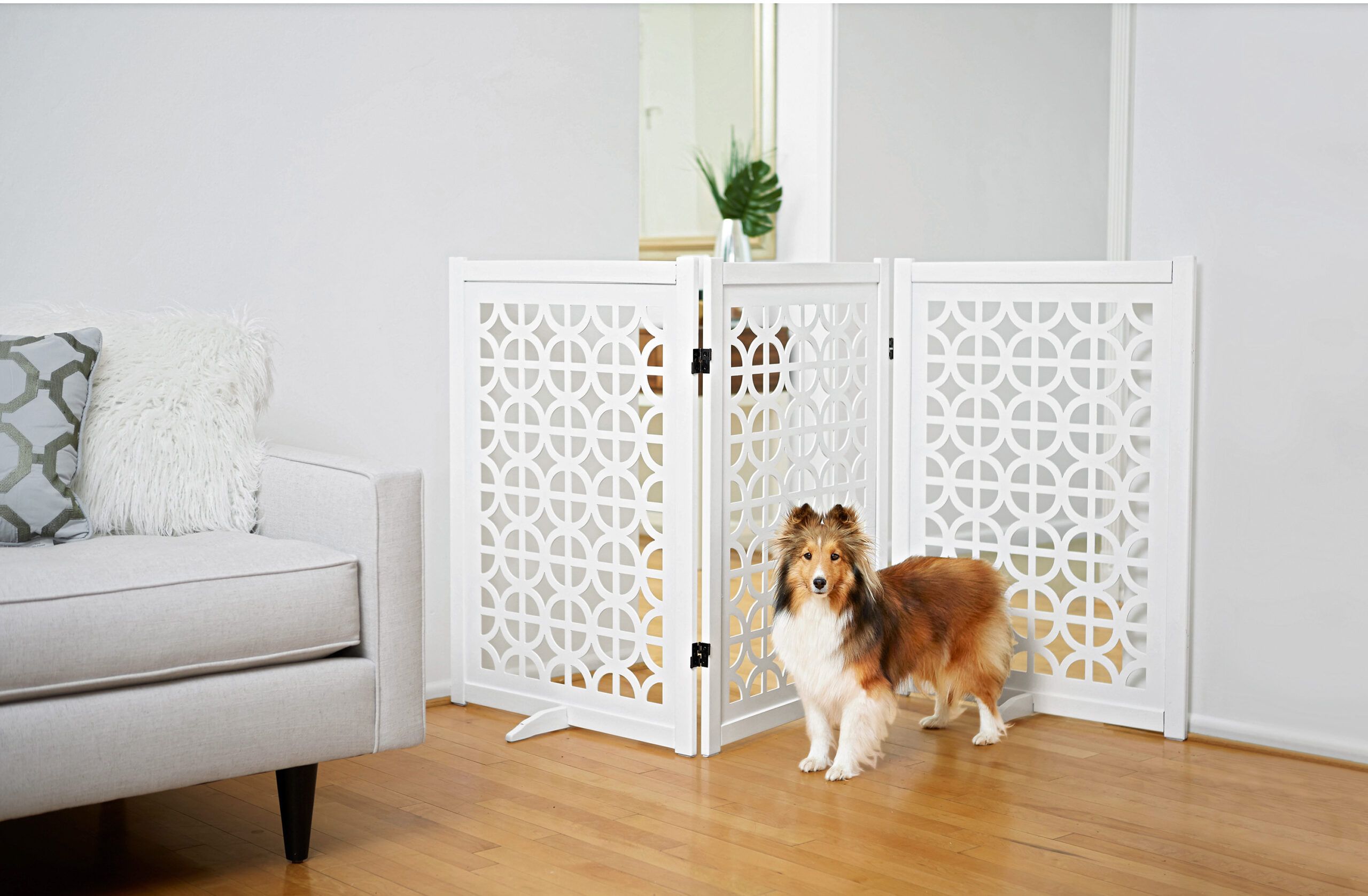 Luxury dog gates best sale