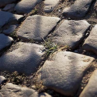 A driveway surface of cobblestone driveways.