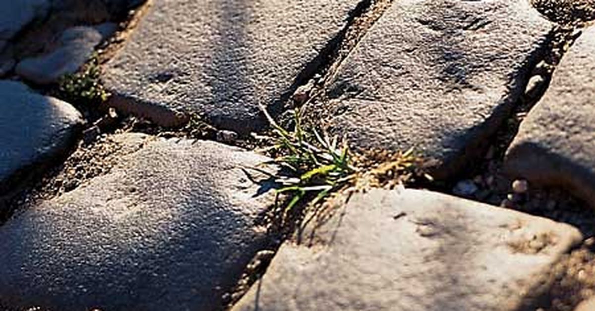 driveway_surfaces_x_0