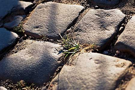 A driveway surface consisting of stone.