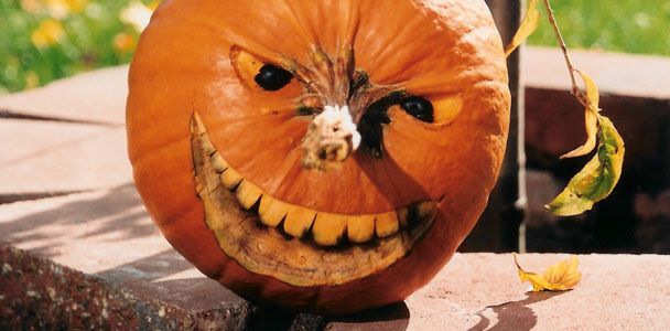 Pumpkin Master's Night & Day Carving Kit - Orman Inc.