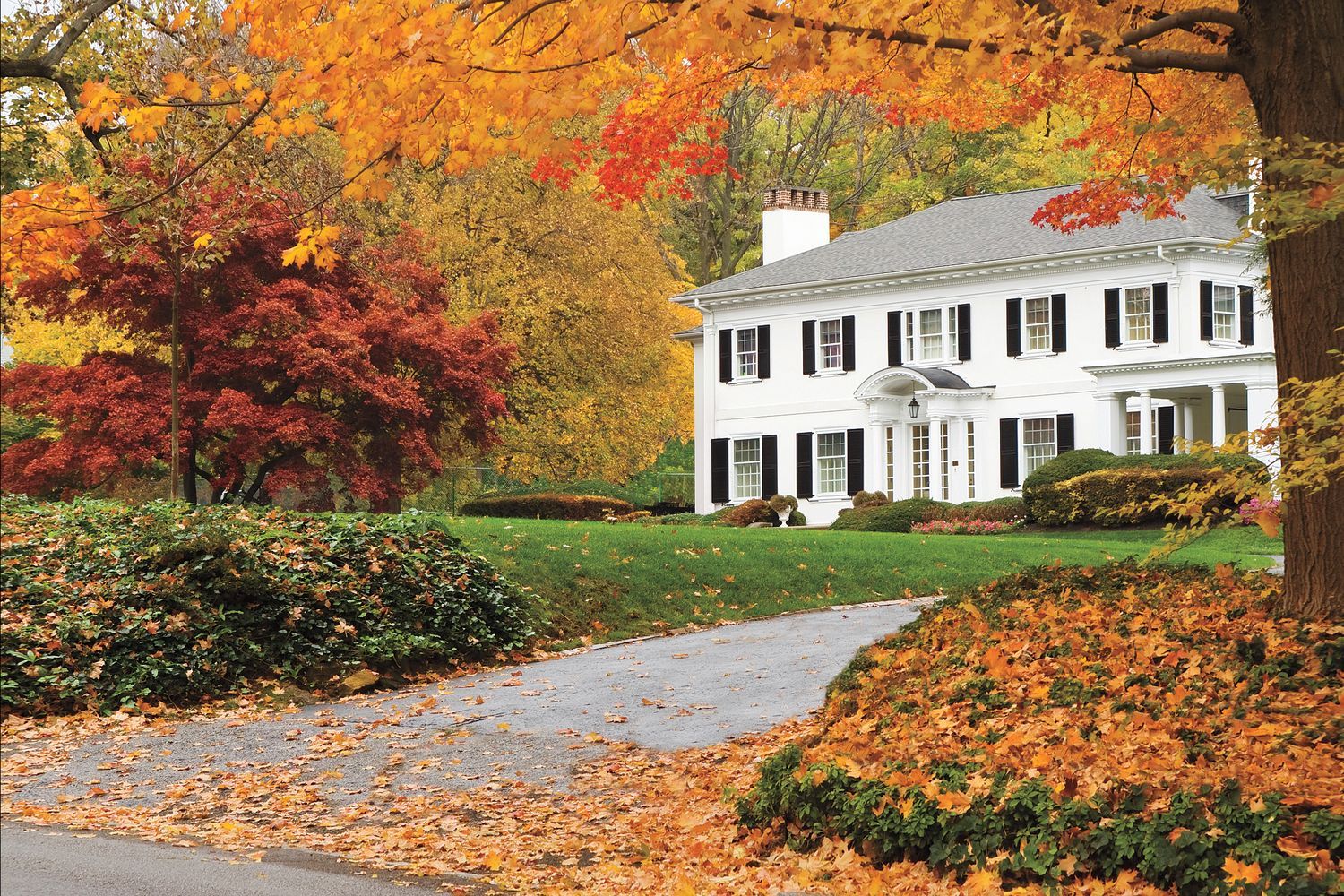 Fall tree in front of a house