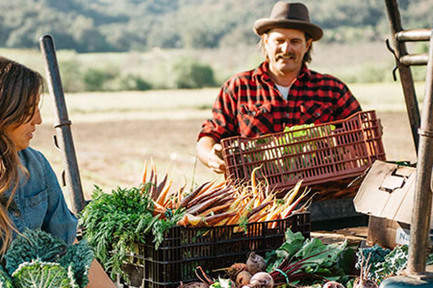 farm_xl