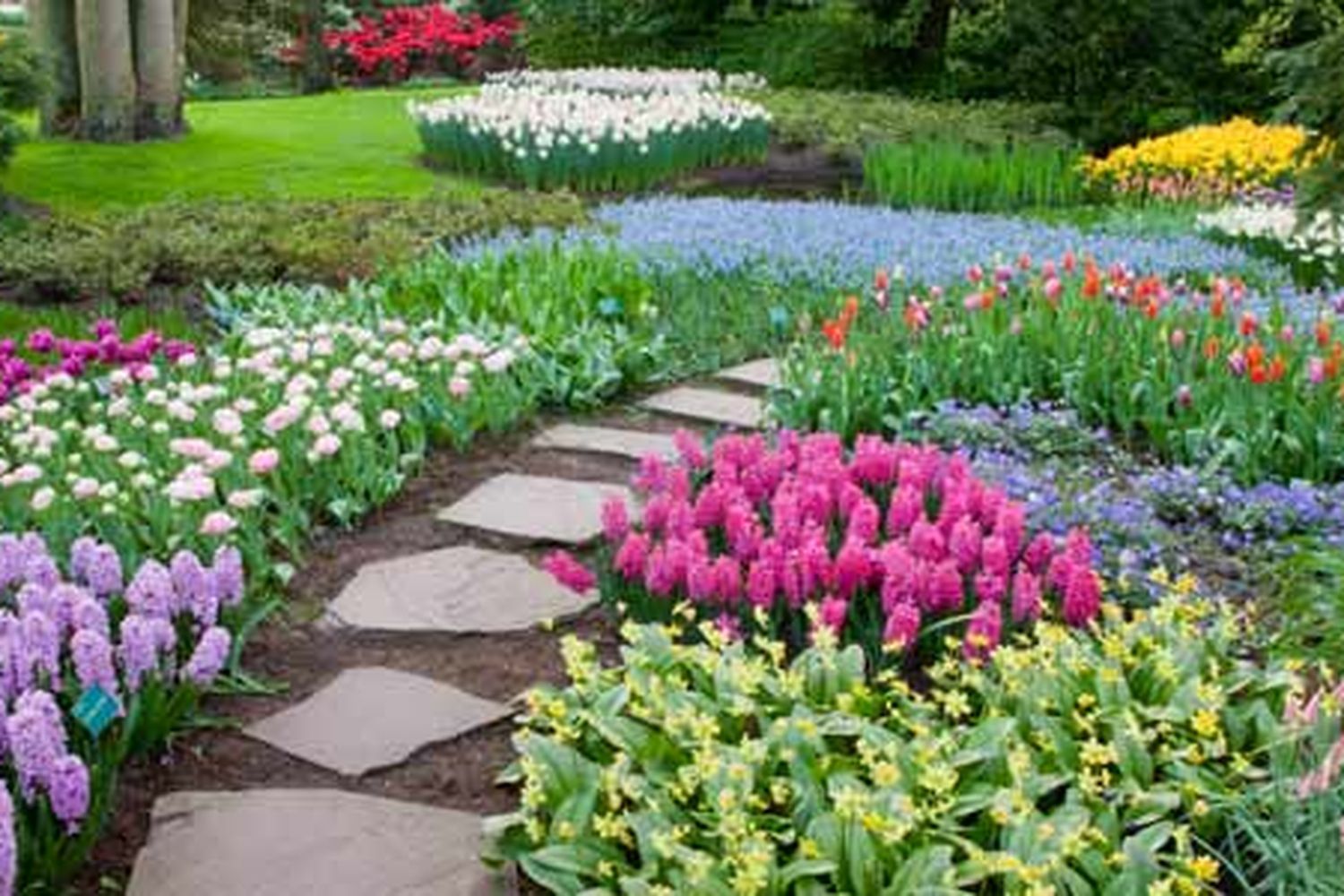 A stone pathway surrounded by gardens with flowers.