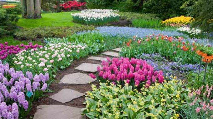 A stone pathway surrounded by gardens with flowers.