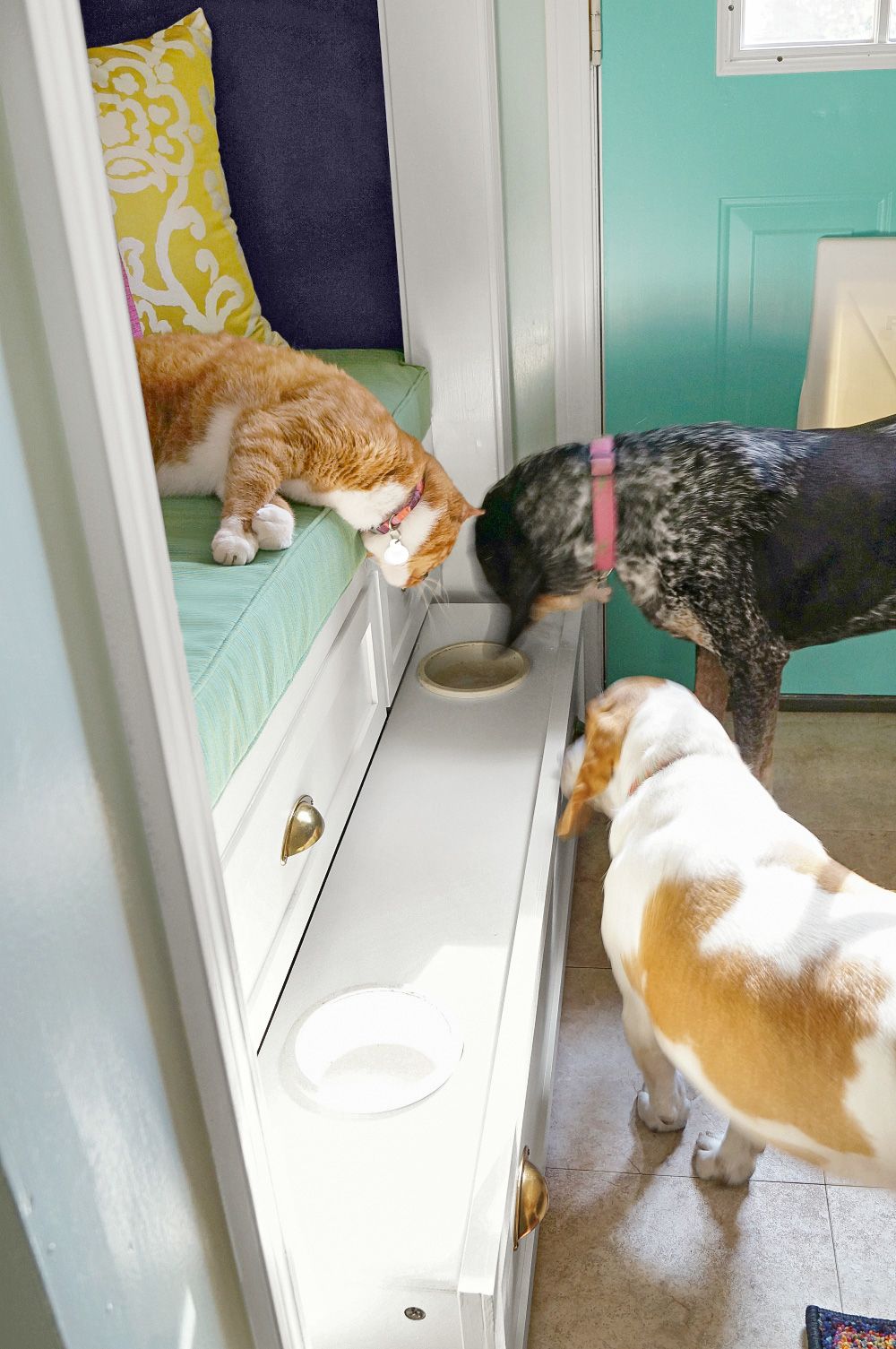 Turn A Dresser Into A Pet Feeding and Care Station: Easy DIY