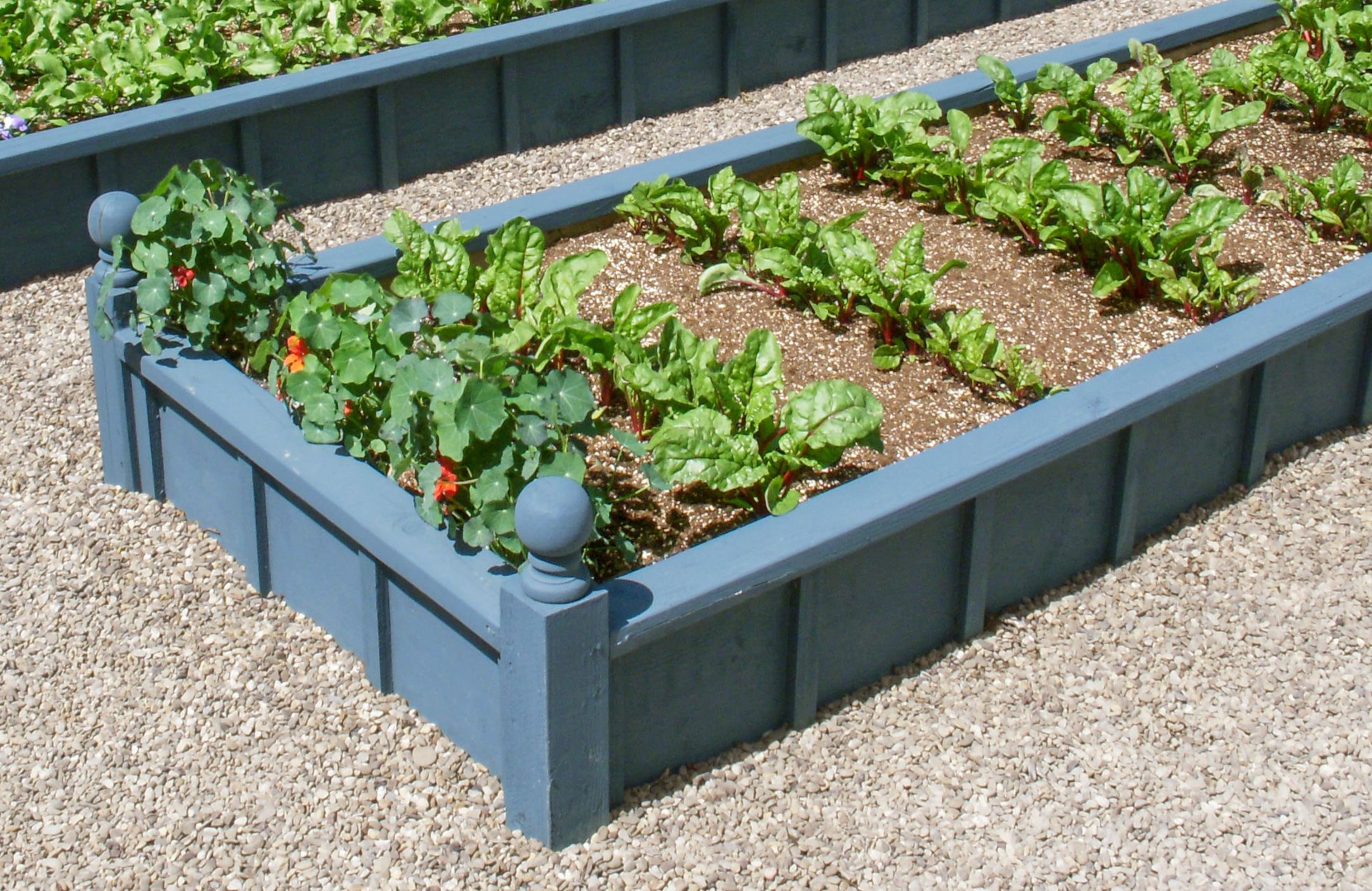 All About Raised-Bed Gardens - This Old House