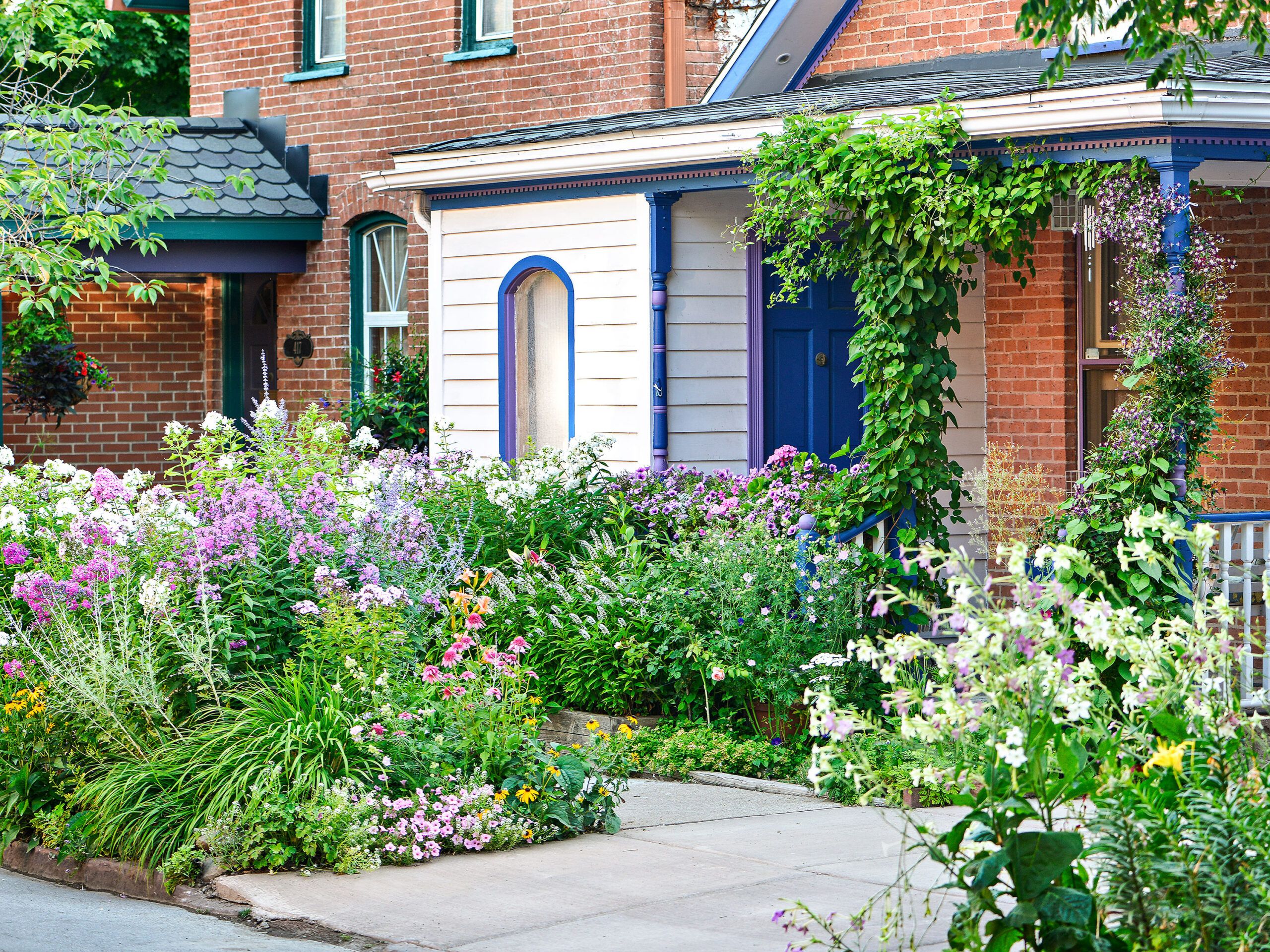 Street-Side Gardens: Inspirational, Lawnless Front Yards - This Old House