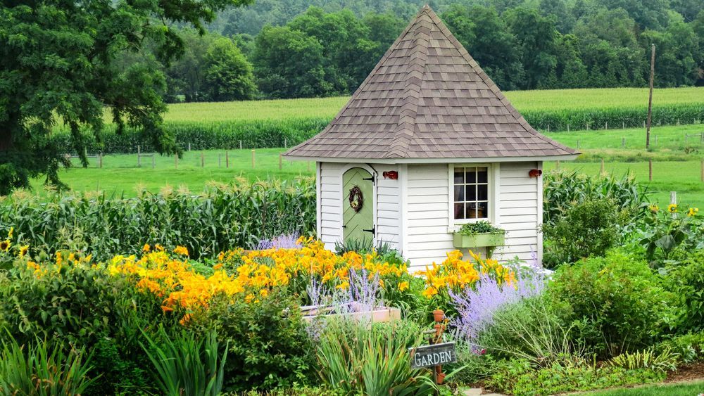 garden_sheds