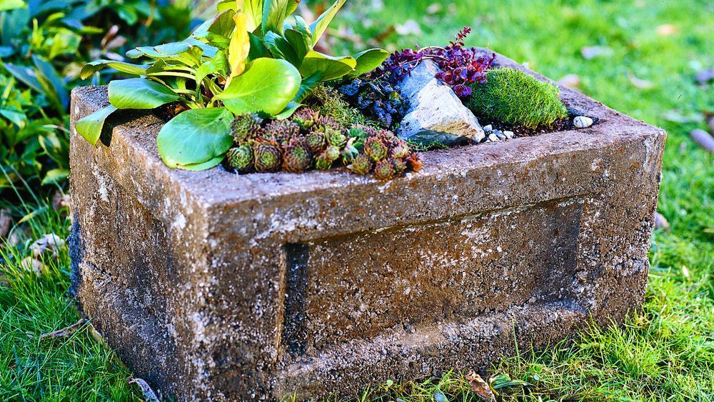 A hypertufa garden trough.