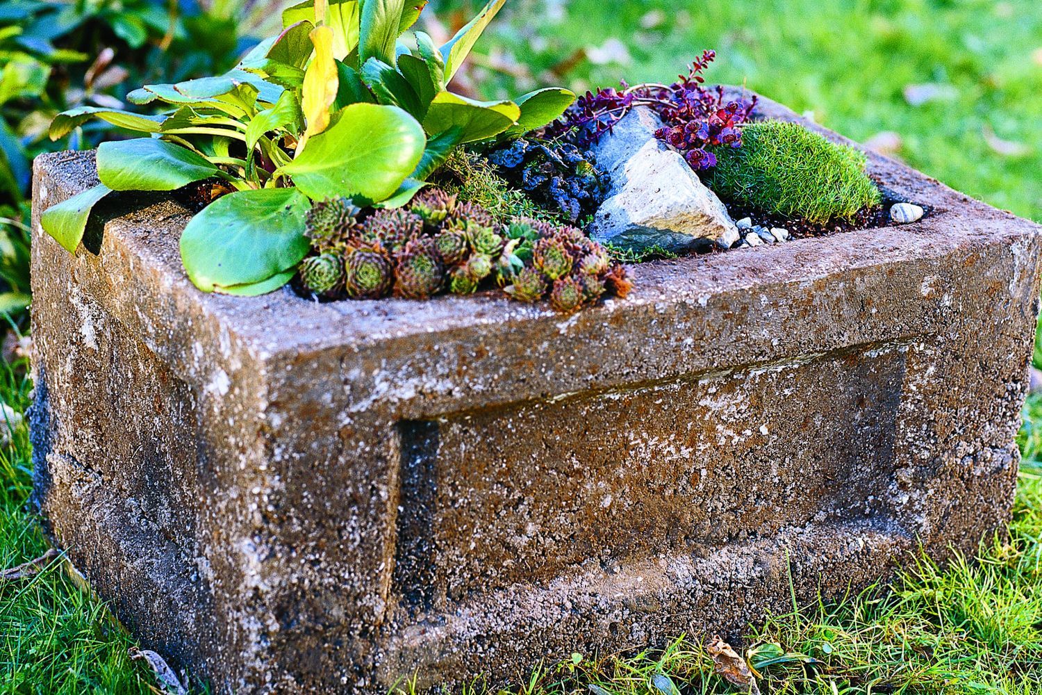 A hypertufa garden trough.