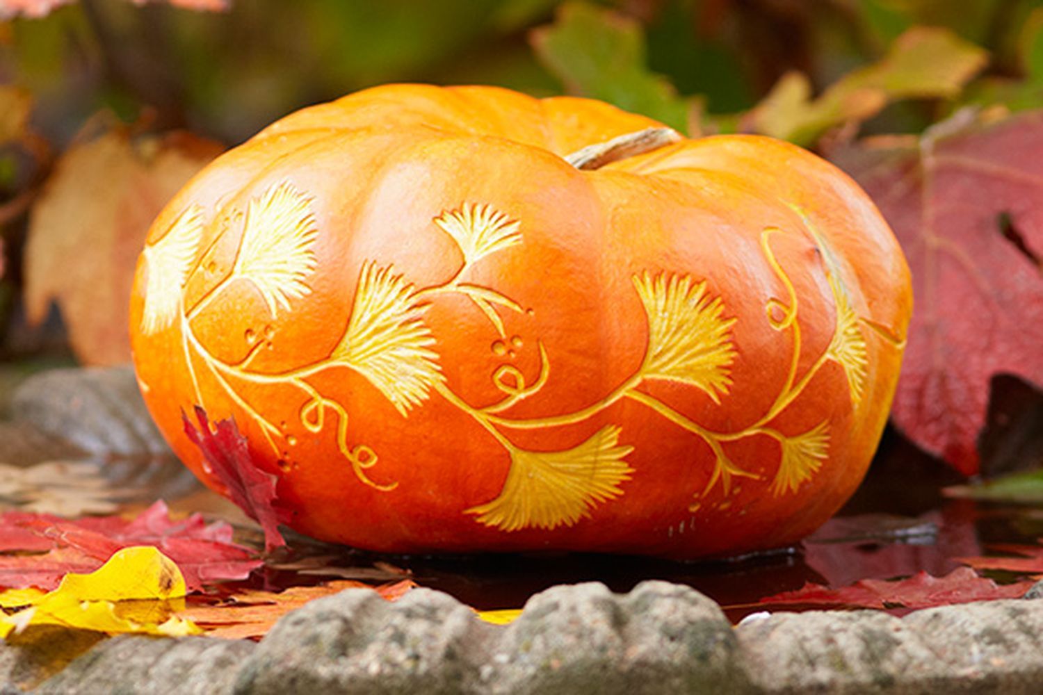 a pumpkin with leaf patterns etched into it