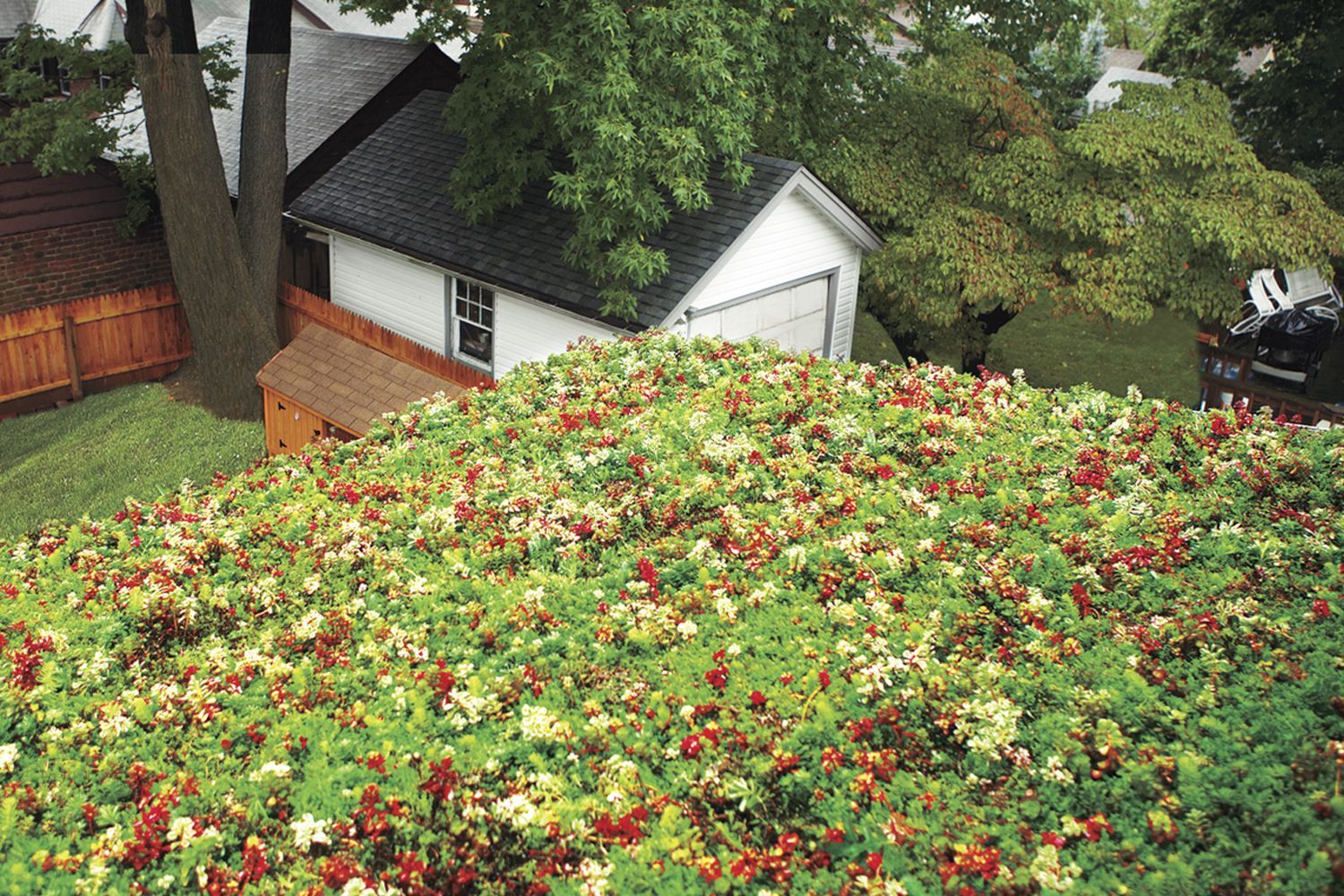 green_roof_x