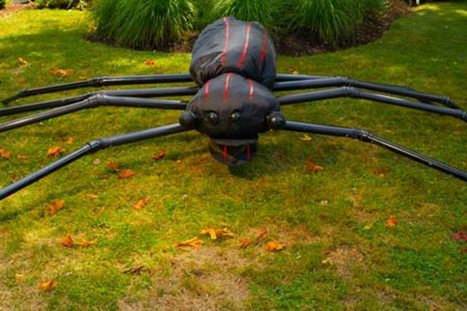 halloween_spider_xl