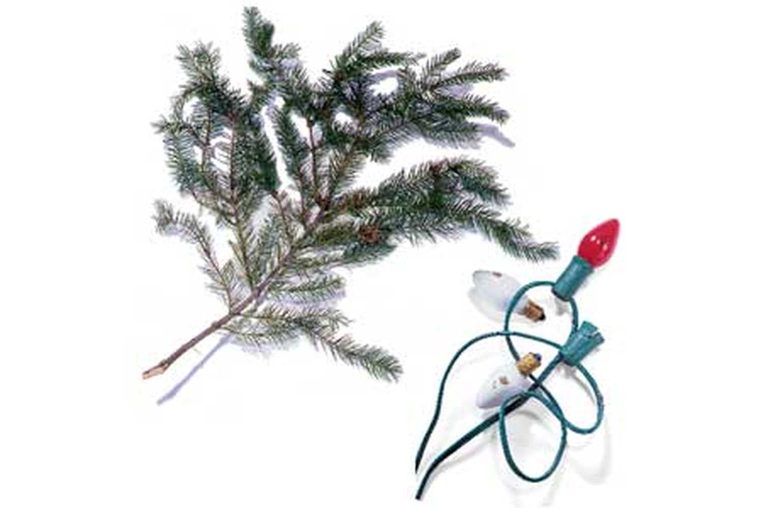 Image of Christmas lights near a Christmas tree branch.