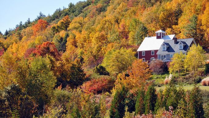 A home nestled in a variety of Fall colored bushes and trees.