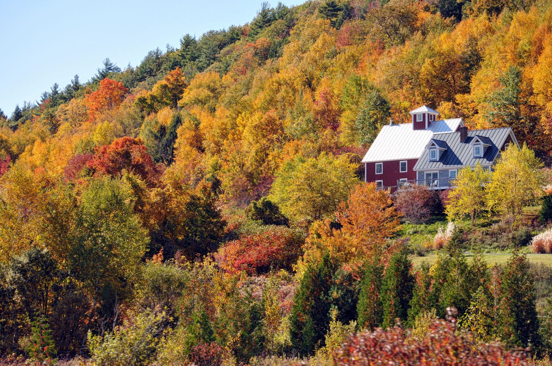 A home nestled in a variety of Fall colored bushes and trees.