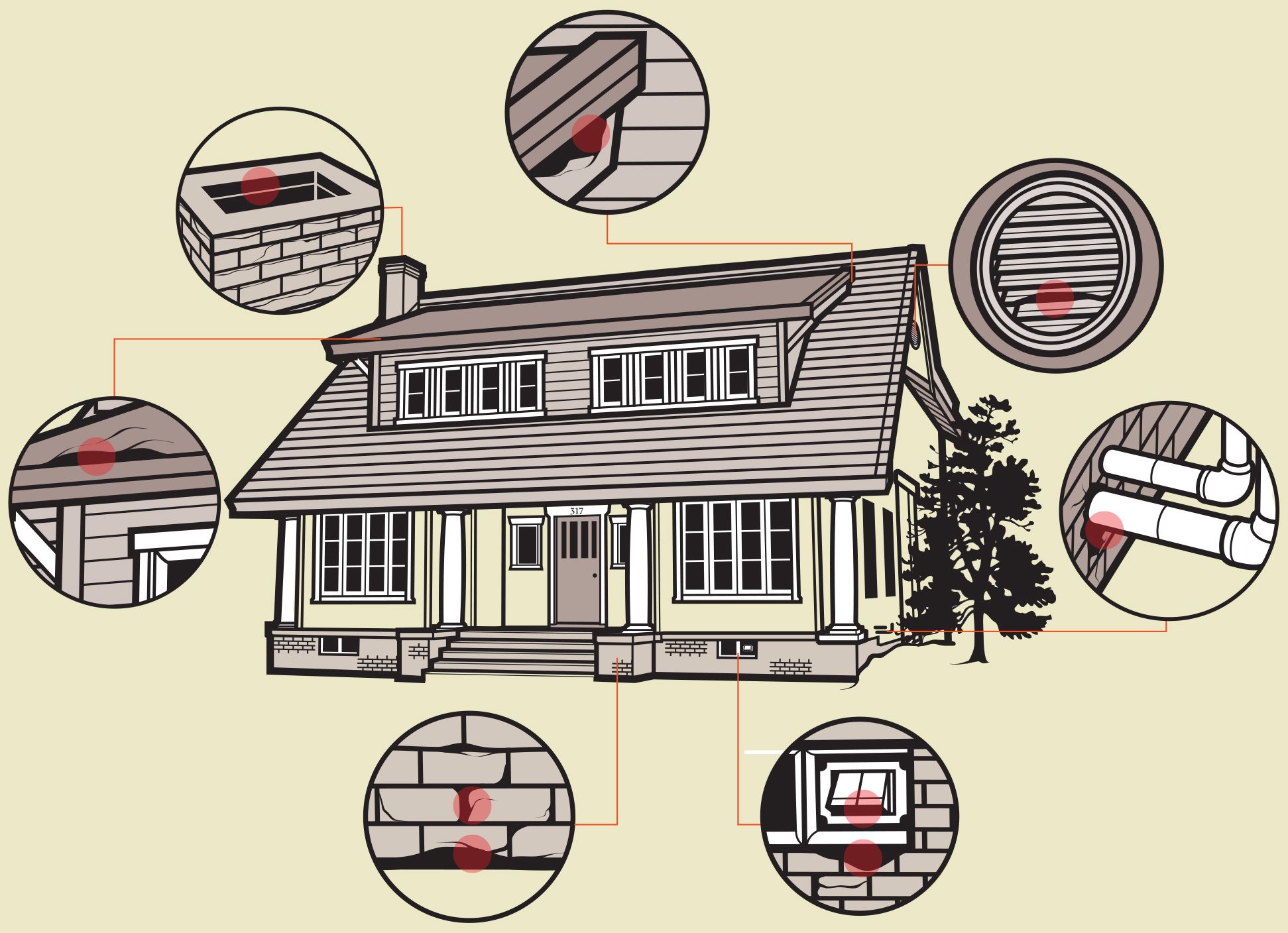 An illustration of the common entry points in your house that animals exploit.