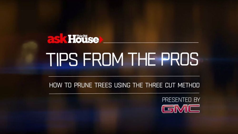 how_to_prune_trees_title_card_0