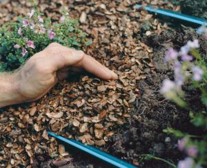 How To Install Drip Irrigation - This Old House